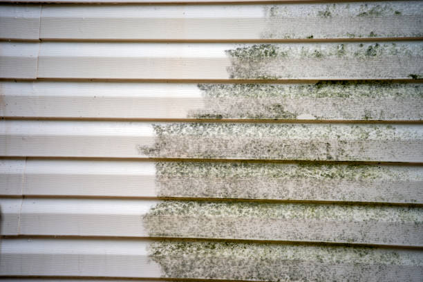 Best Attic Cleanout  in Avoca, IA