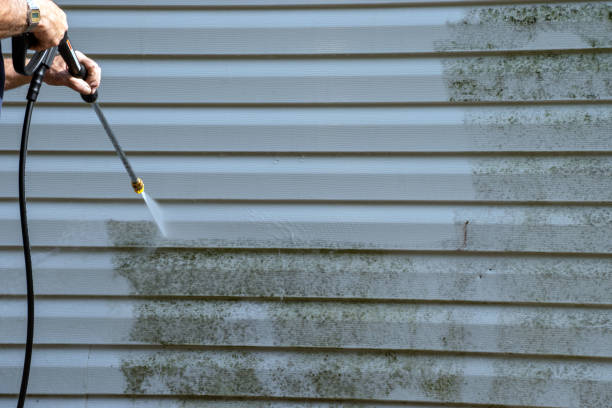 Best Property Management Cleanouts  in Avoca, IA